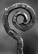 Wall_Art_Alphabet_Photography_Art_ 32